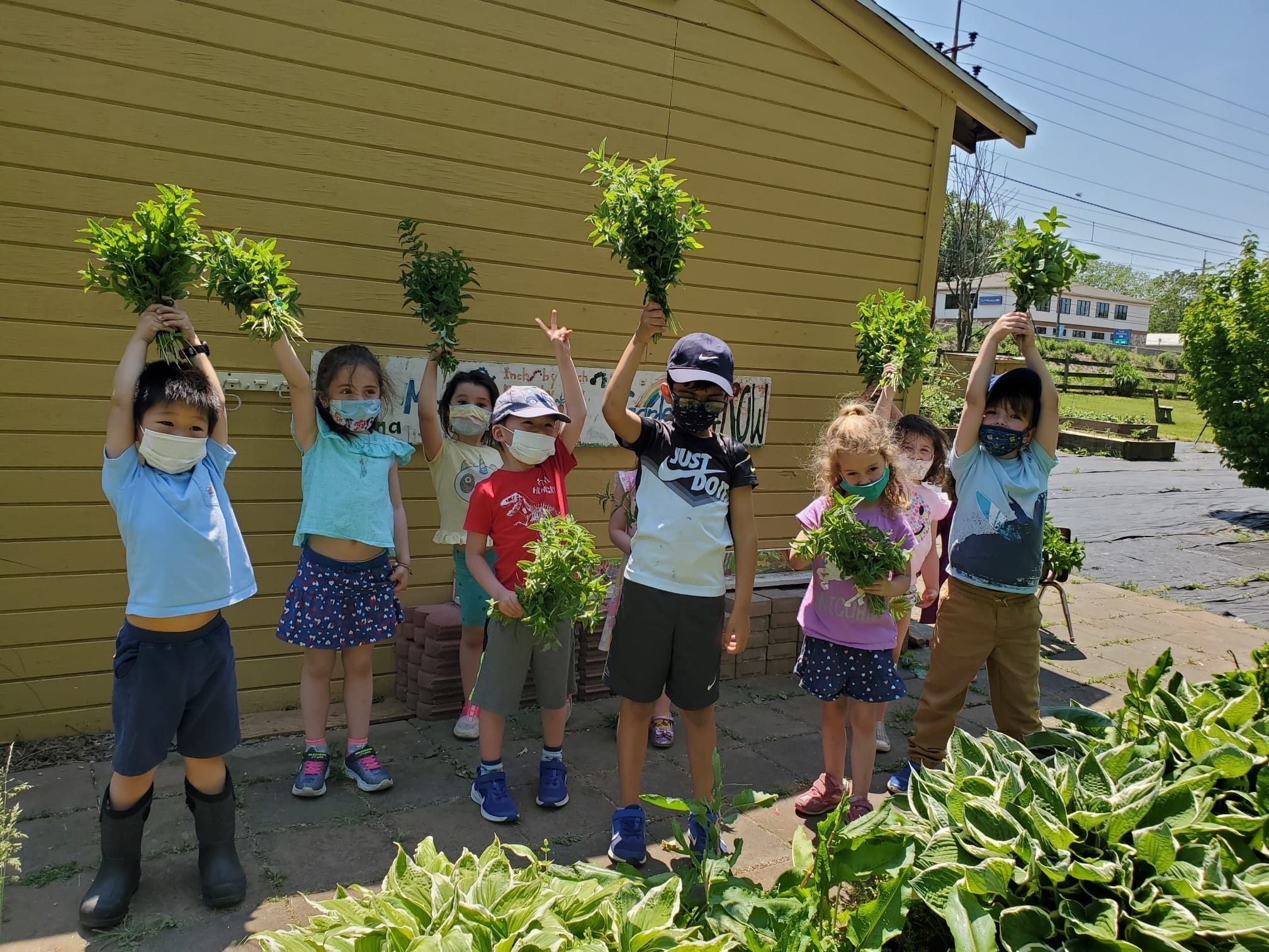Paoli Campus: Children holding a bunch of mint leaves that they harvested from our beautiful garden at Paoli.