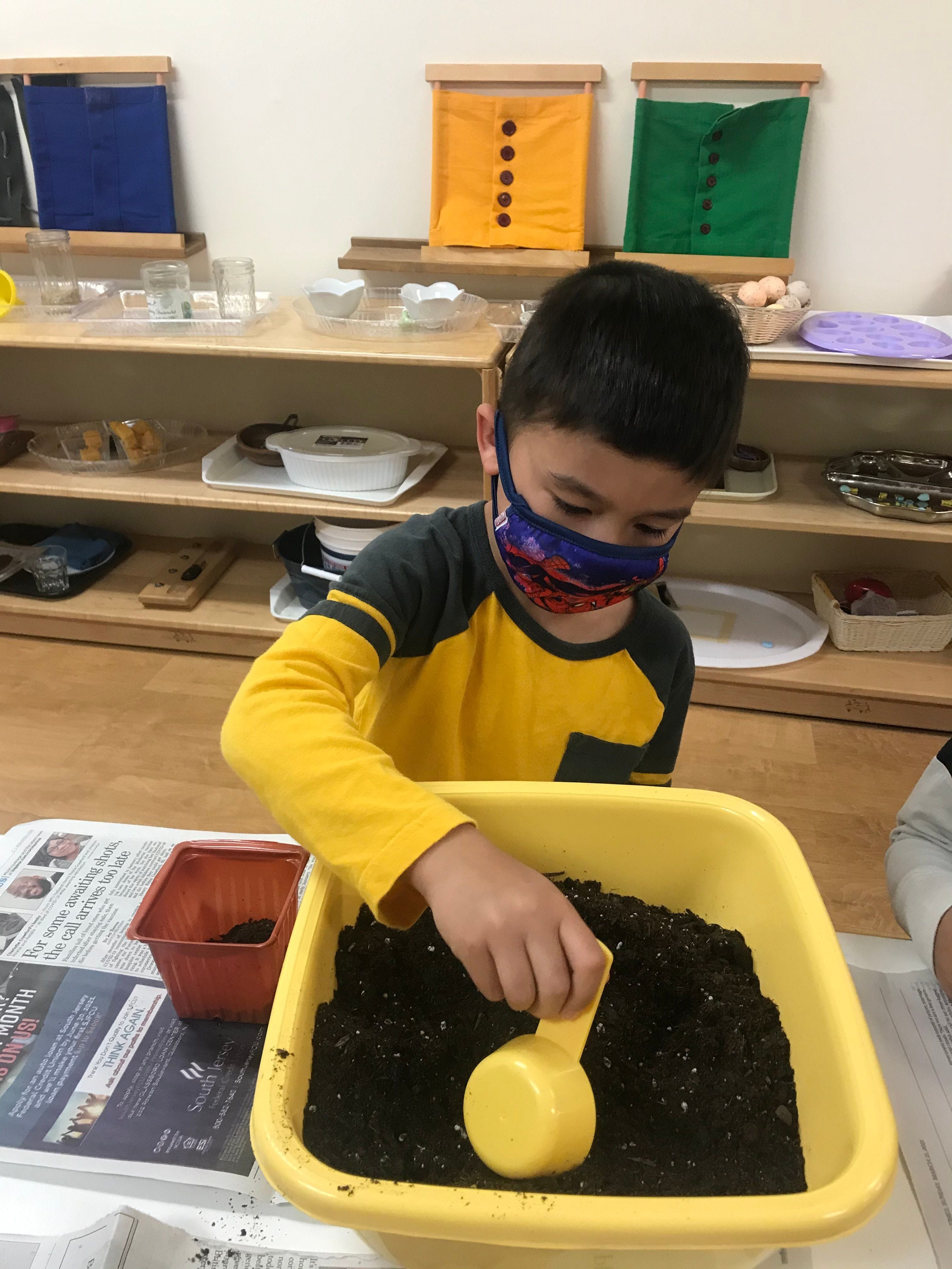 Malvern Campus: A child planting mixed flower seeds on account of Earth day.